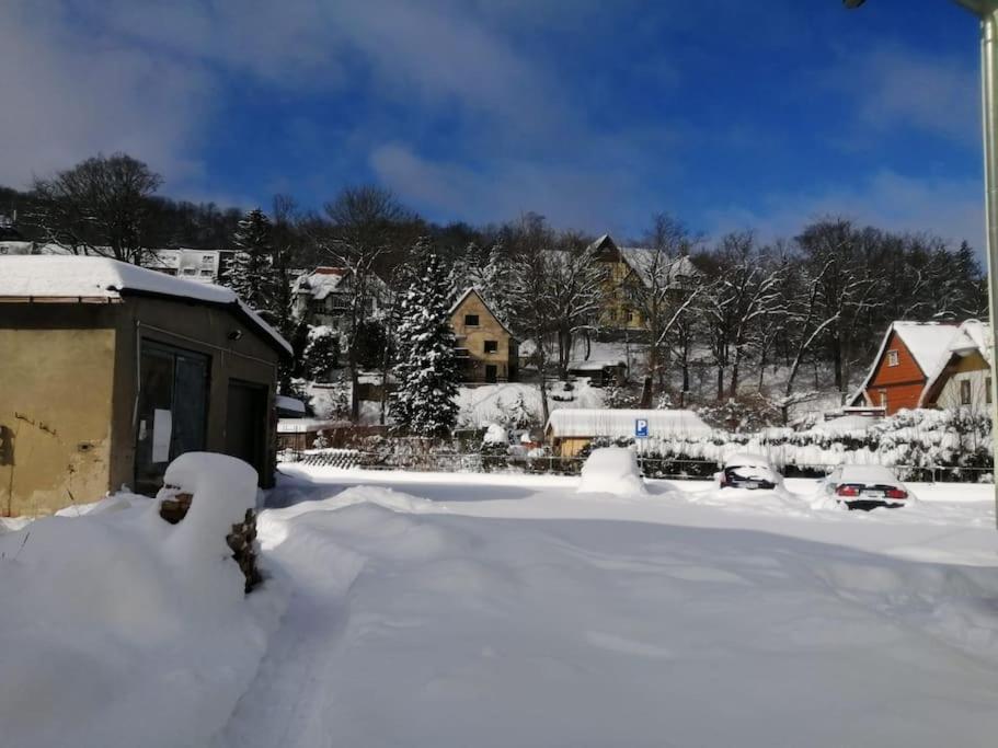 Guenstige, Schoene Ferienwohnung Im Wanderparadies Wernigerode Bagian luar foto